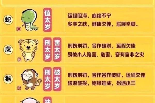 82岁属什么生肖 82岁属什么生肖揭秘高龄老人的生肖秘密