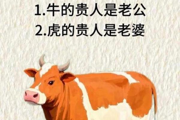 公孙胜生肖揭秘他究竟属什么生肖