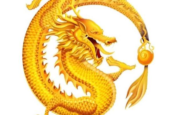 2025年属龙的人今年多大_2025年属龙人的命运