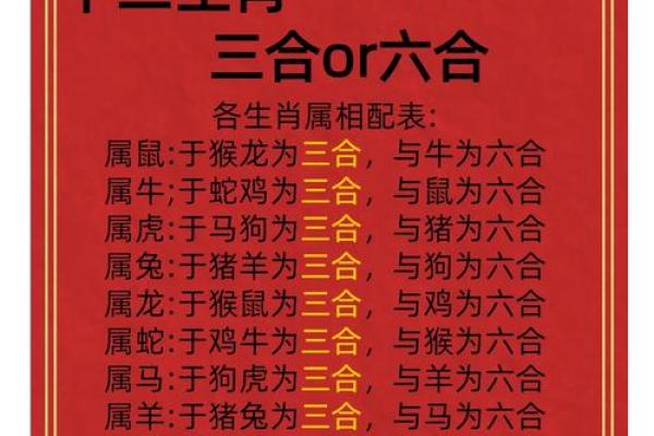 鸡与哪些生肖最合拍揭秘生肖配对奥秘