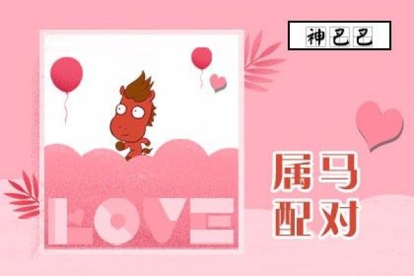 属马女生最佳婚配属相揭秘谁是你的命中注定