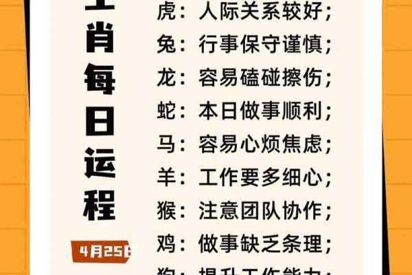 2024年25岁属什么生肖今年年龄运势解析