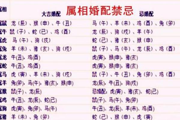 24岁属相婚配_24岁属龙的最佳婚配