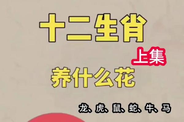 31岁属什么生肖 32岁属什么生肖