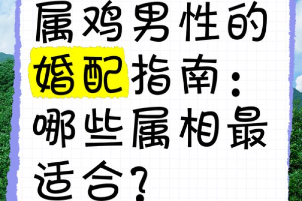 属鸡和属鼠的合不合_属鸡女和属鼠男的合不合