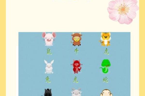 59岁属什么生肖_60岁属什么生肖