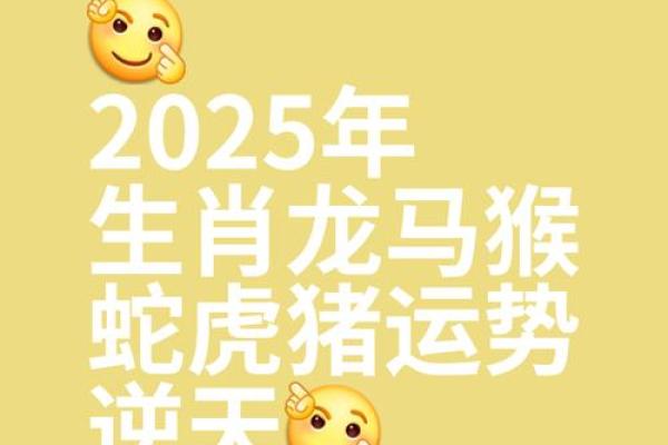 属龙的2025年结婚吉日_属龙的在2025年的运势好不好呢