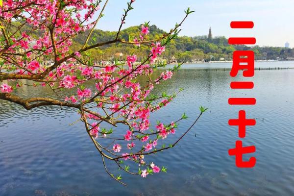 二月二十二日是什么日子_二月二十二日是什么日子揭秘这一天的特殊意义