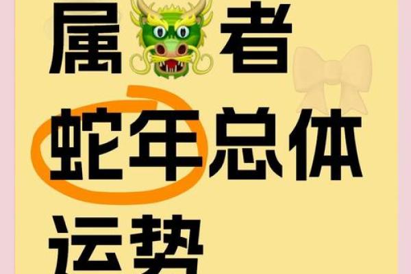 属龙人2025年财运_属龙人2025年财运方位