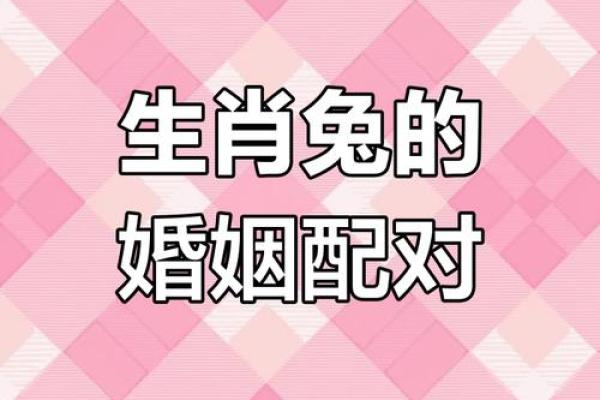 99年属兔最佳婚配属相_1999年属兔男婚姻
