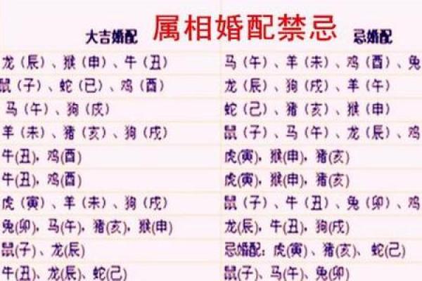 99年属兔最佳婚配属相_1999年属兔男婚姻