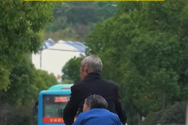 94岁属什么生肖_94岁属什么生肖揭秘高龄老人的生肖秘密