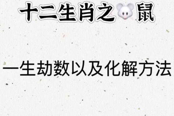 生肖鼠一生最倒霉的年龄运势低谷全解析
