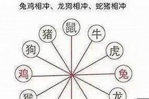 八六年属什么生肖_八六年属什么生肖配对最合适