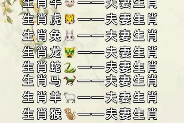 87年属什么生肖_87年属什么生肖属相