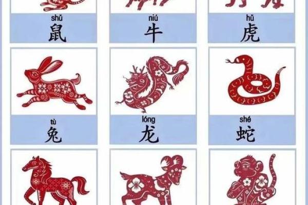 62年属什么生肖属相_61属什么生肖属