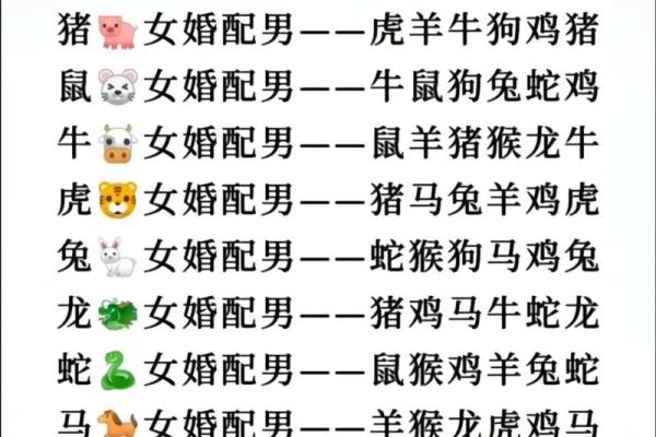 狗鼠属相相配吗_94狗女和96鼠男水火不容吗