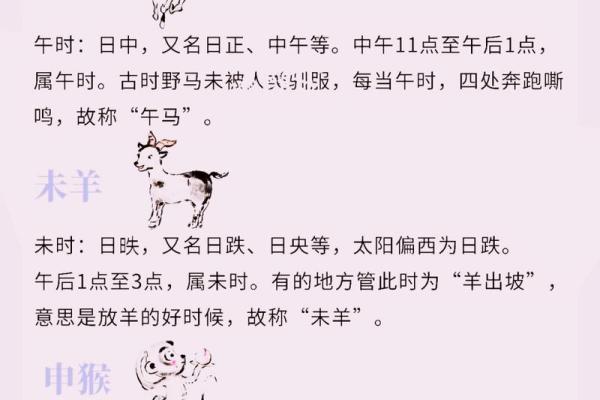 神不守舍指什么生肖 神不守舍指什么生肖揭秘12生肖中的神秘象征