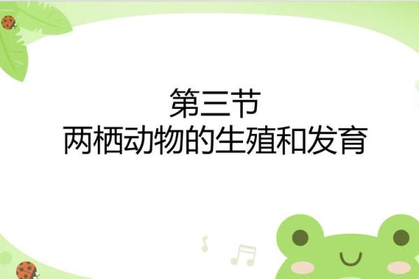 两栖动物的定义及其生态特征解析