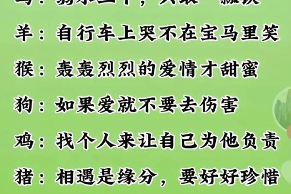 00后属什么生肖_00后属什么生肖揭秘00后生肖属相全解析