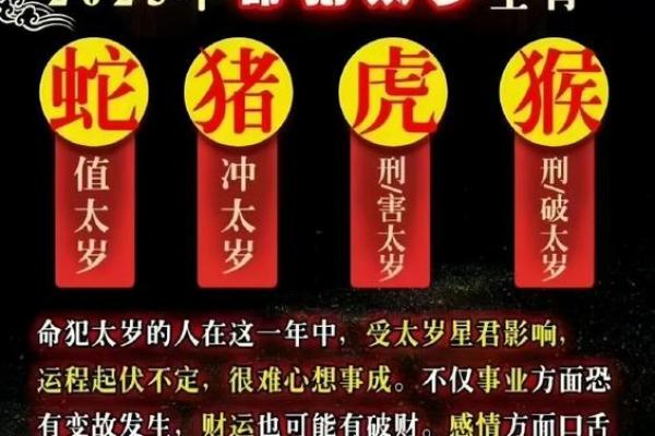 属火的生肖是哪几个生肖 属火的生肖有哪些揭秘火属性生肖的独特魅力