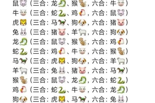 今年56岁属什么生肖_2023年56岁属什么生肖揭秘属相与年龄的奥秘