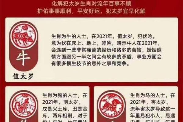 今年56岁属什么生肖_2023年56岁属什么生肖揭秘属相与年龄的奥秘