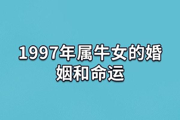 1997年属什么生肖_1997年属什么生肖的命