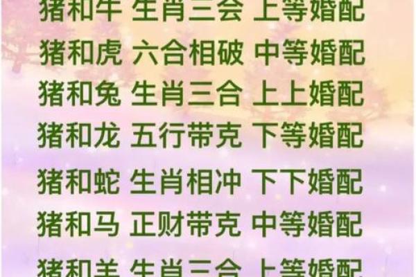 属虎女与属龙男婚配解析缘分与挑战并存