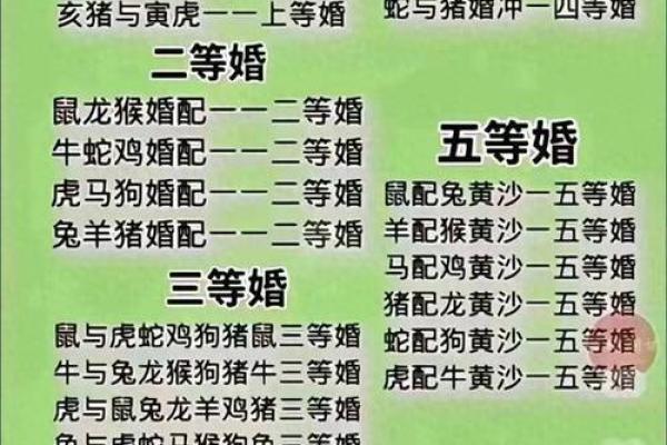 属狗的最佳婚配生肖揭秘最合拍的生肖组合