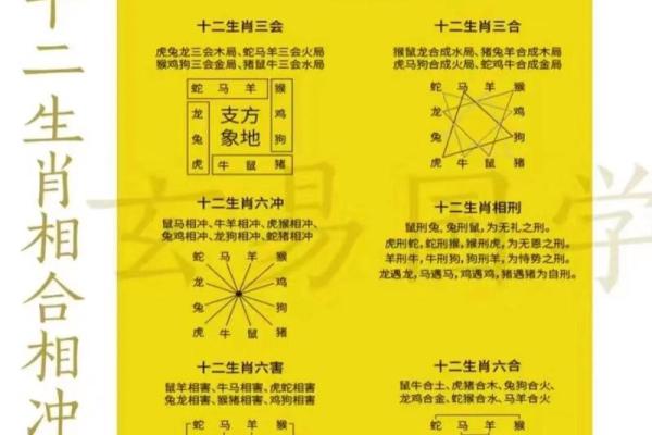属马的最忌讳什么属相 属马最忌讳的属相揭秘相克关系与化解方法