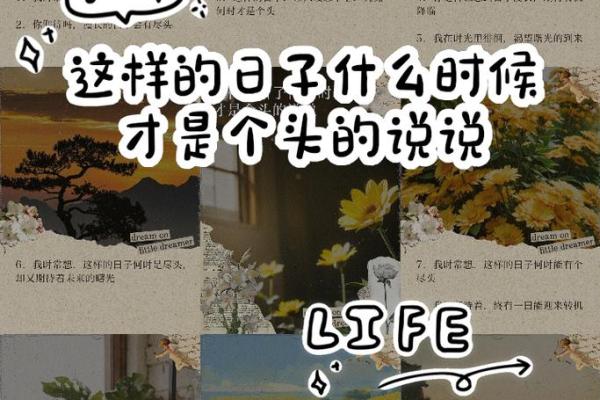 3月23号是什么日子 3月23号是什么日子揭秘这一天的特殊意义