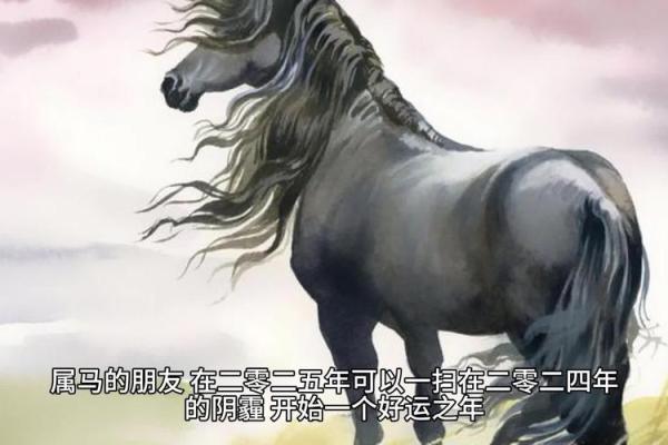 2002年属马2025年运势 2002年属马2025年运势解析事业财运与感情运势全揭秘