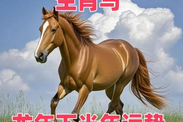 2002年属马2025年运势 2002年属马2025年运势解析事业财运与感情运势全揭秘