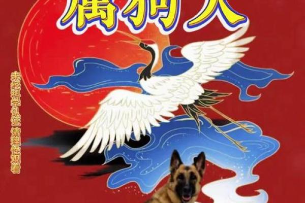 1970年属什么生肖 1970年属什么生肖揭秘属狗人的性格与命运