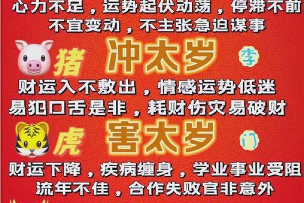 1952年属龙人2025年健康运势_1952年属龙人2025年健康运势解析与注意事项