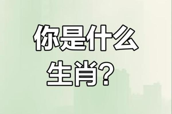 十二生肖谁最吓人揭秘最令人畏惧的生肖排名