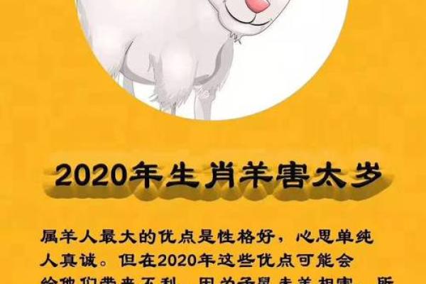 犯太岁的属相2023 犯太岁的属相2023年