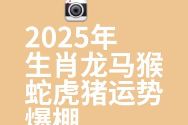 属龙在2025年的全年命运如何 属龙的2025年运势怎么样