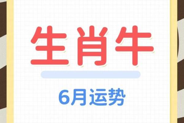 牛年大揭秘哪家品牌最懂你的牛年运势