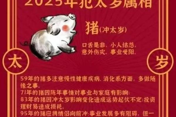 2023年五大生肖犯太岁 2023年犯太岁的四大生肖