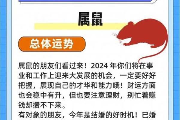 生肖鼠一生最倒霉的年龄_属鼠人一生被谁所害