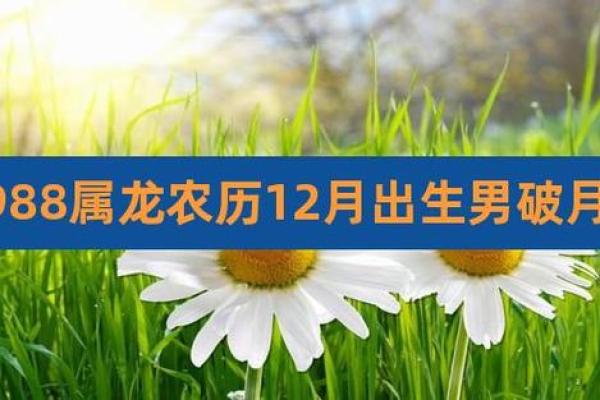 属龙犯月是几月份_属龙犯月是几月份揭秘龙年犯月时间与化解方法