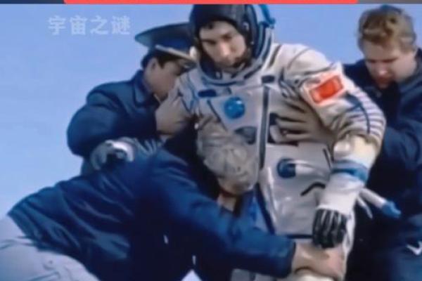 311是什么日子 311是什么日子揭秘这一天的历史与意义