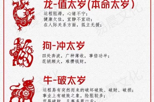 兔年什么属相犯太岁_兔年犯太岁属相解析哪些生肖需特别注意