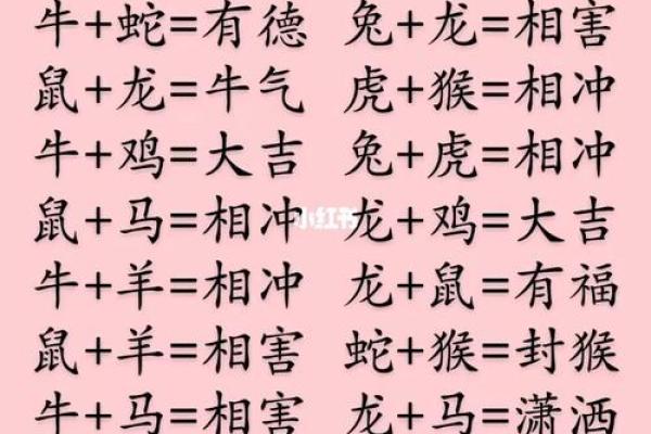 狗和什么属相最配 狗与哪些属相最配揭秘最佳生肖配对