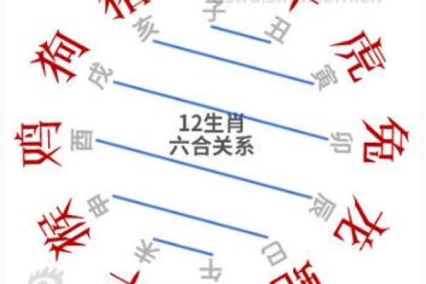 十全十美打一准确生肖揭秘完美象征的生肖之谜