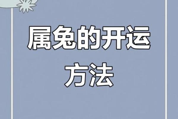 1975属兔48岁以后运气如何 1975年兔48岁后财运如何