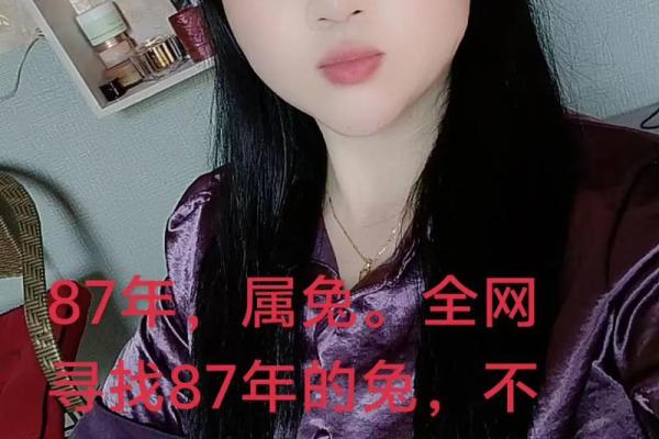 1987年属什么 87年出生今年多大岁数