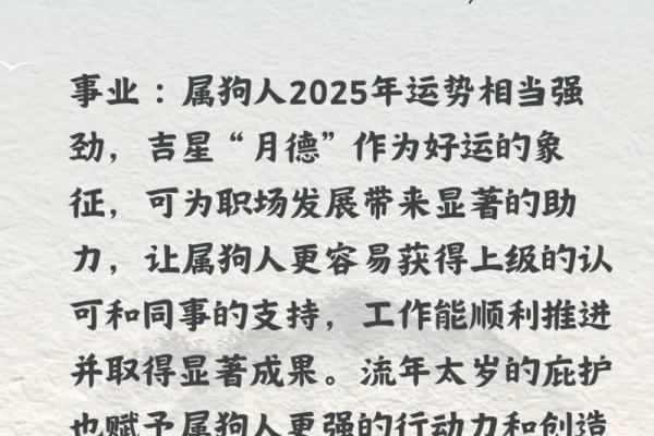 属狗2024年的运势及运程 属狗人2024年适合换工作吗